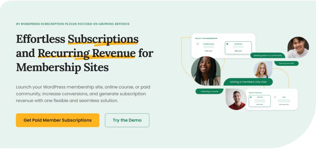 Paid Member Subscriptions is one of the best WordPress community plugins